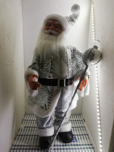 Babbo natale colore argento - natale,